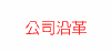 公司沿革