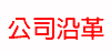 公司沿革